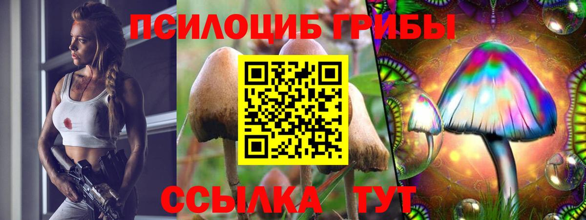 Галлюциногенные грибы GOLDEN TEACHER Верхняя Пышма