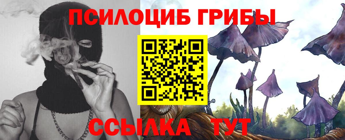 Галлюциногенные грибы Cubensis  Вход с VPN  где можно купить наркотик  Верхняя Пышма 
